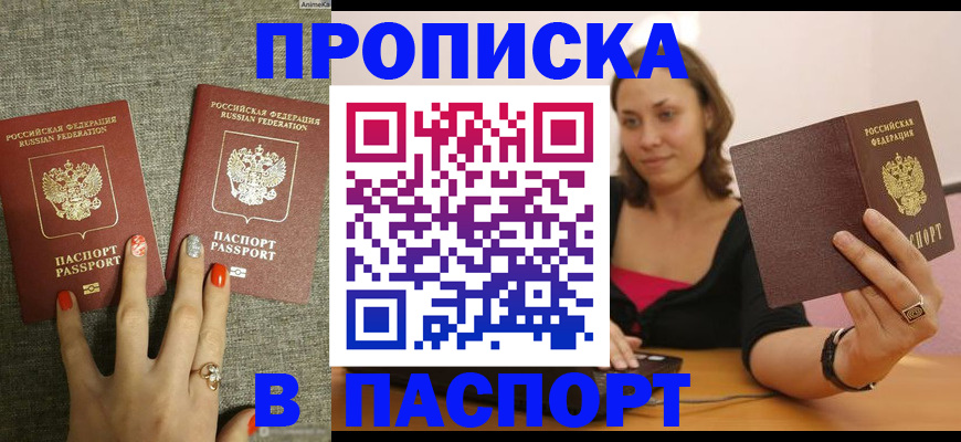 прописка паспорт в Новодвинске